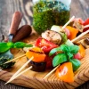 Шампуры для шашлыка, бамбук, 100 штук, d=3 мм х 200 мм, PATERRA