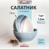 Салатник 12см W1545-4.75-1 Viento