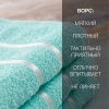 Набор полотенец махровых Флеш 30х60 (3шт) один цвет пл. 420 гр/м2 (цв.05010)