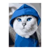 Холст с красками 22х30 см по номерам (16цв.) Котик в капюшоне (Арт. Х-4037)