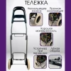 Сумка-тележка PS004